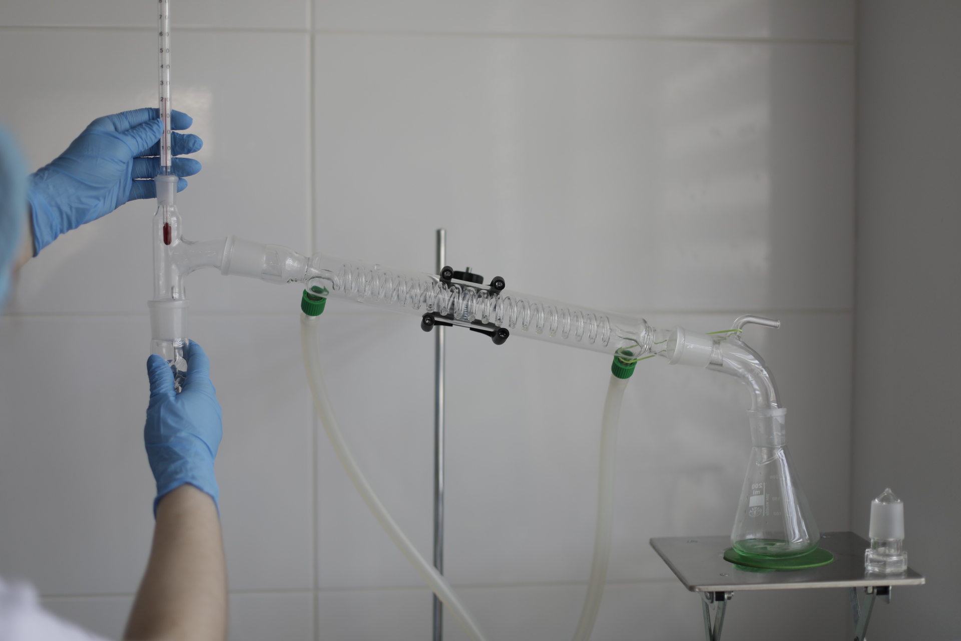 produkcja wdrożenia suplementów diety-ACC produkcja suplementów diety